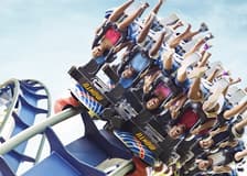 Busch Gardens Tampa: Entry Ticket with Optional Quick Queue