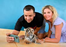 Tiger Park Tickets with Tiger Play Packages