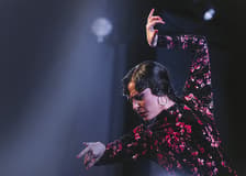 Casa Ana Flamenco Show