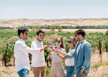 From Madrid: Toledo Day Trip with Vineyard Experience