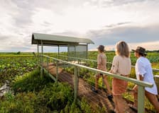 From Darwin: Kakadu Wilderness Full-Day Guided Tour