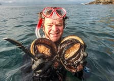 Full-Day Guided Cruise Tour in Tasmania with Seafood Lunch