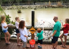 Go City Miami All-Inclusive Pass: Choose from 35 Attractions