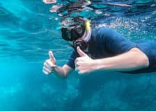Fuerteventura: Guided Snorkeling Tour + Roundtrip Transfer
