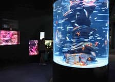 Aquarium de Paris Priority Access Tickets