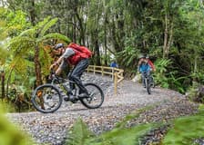 Guided E-Bike & Hiking Fox Glacier Valley Tour

