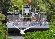 Miami: Airboat Tour with Wildlife Show & Transportation from Miami