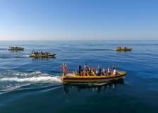 2 Hour Guided Dolphin Watching and Cave Cruise in Algarve