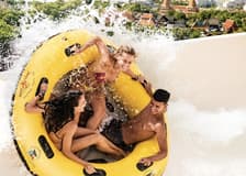 Loro Parque & Siam Park: Entry Ticket