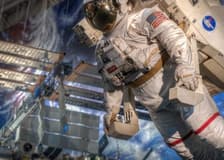 Houston: Guided City Tour + NASA Space Center Entry + Transfers