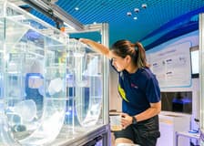 Singapore Oceanarium Tickets