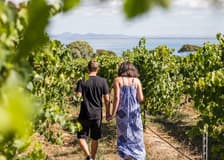 Around the Bay: Day Trip from Melbourne with Food & Wine Tastings