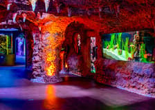 National Aquarium Abu Dhabi Entry Ticket + Beyond The Glass Experience