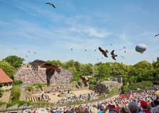 Puy du Fou 2 or 3-Day Tickets