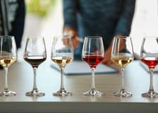 From Aix-En-Provence: Côtes de Provence Wine Tour