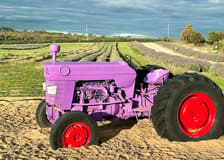 Pinnacles, Lobster Shack, & Lavender Farm Tour with Round-Trip Transfers
