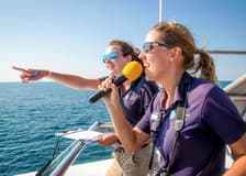 Boston Whale Watching Cruise by New England Aquarium