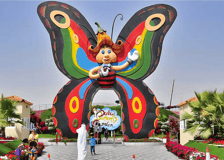 Dubai Butterfly Garden Skip-the-Line Tickets