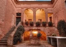 Montalcino: Vineyard Tour + Wine Tasting