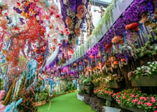 Gardens by the Bay Tickets: Floral Fantasy