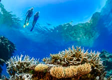 Airlie Beach: Whitsunday Islands Sail, SUP & Snorkel Premium Cruise with Lunch