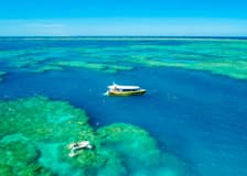 Airlie Beach: Outer Great Barrier Reef & Whitehaven Beach Snorkel Tour