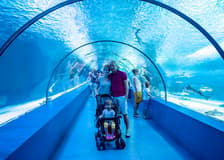 Barcelona Aquarium Skip-the-Line Tickets