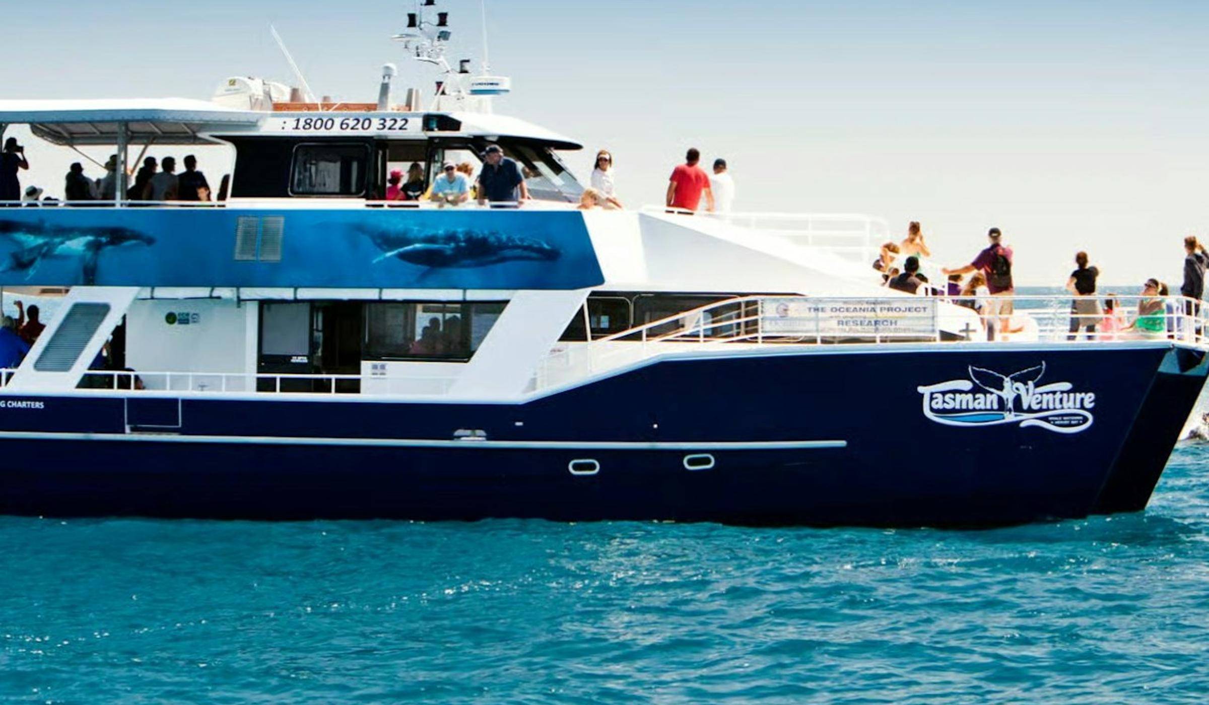Whale Watching in Hervey Bay