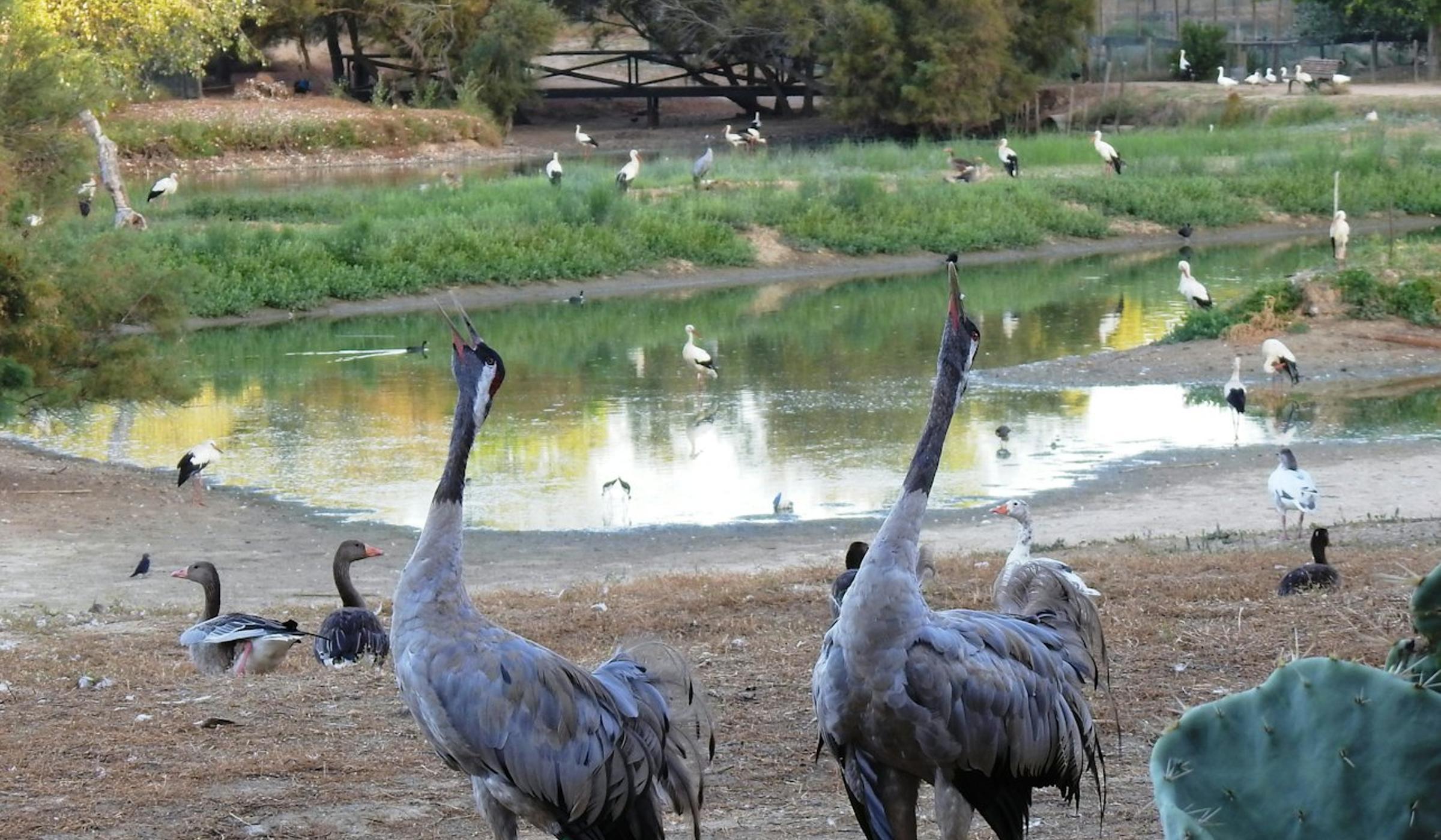 Cañada de los Pájaros