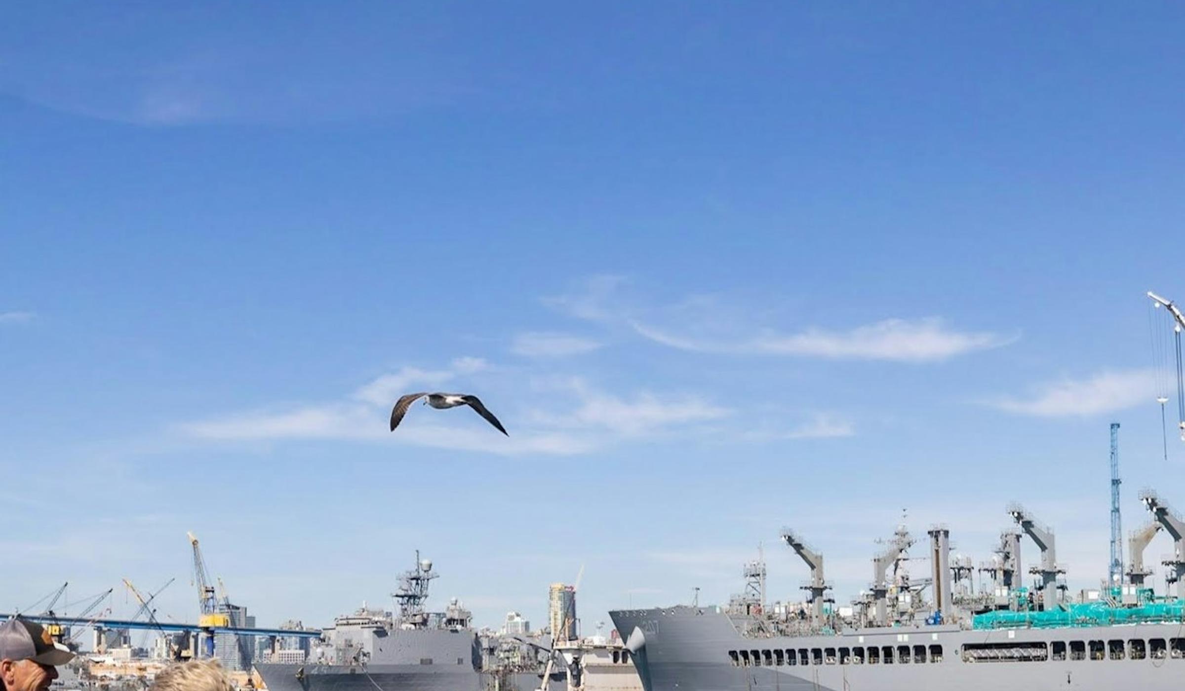 San Diego Sightseeing Cruises