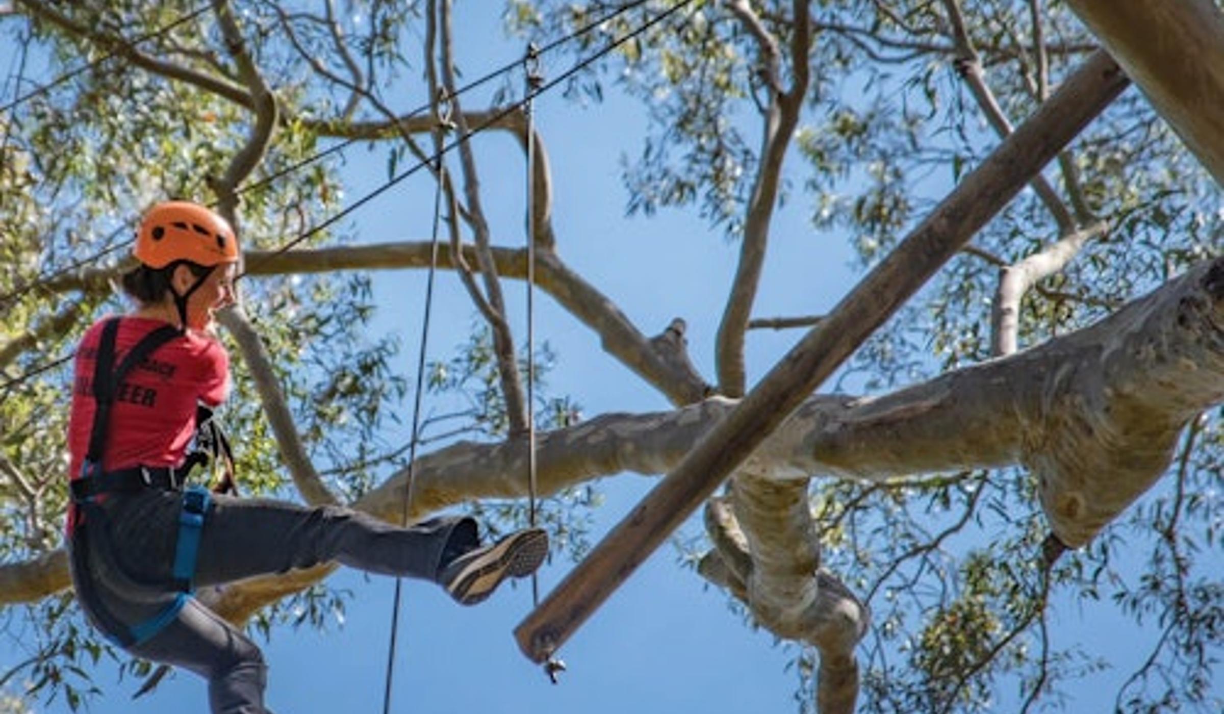 Treetops Adventure