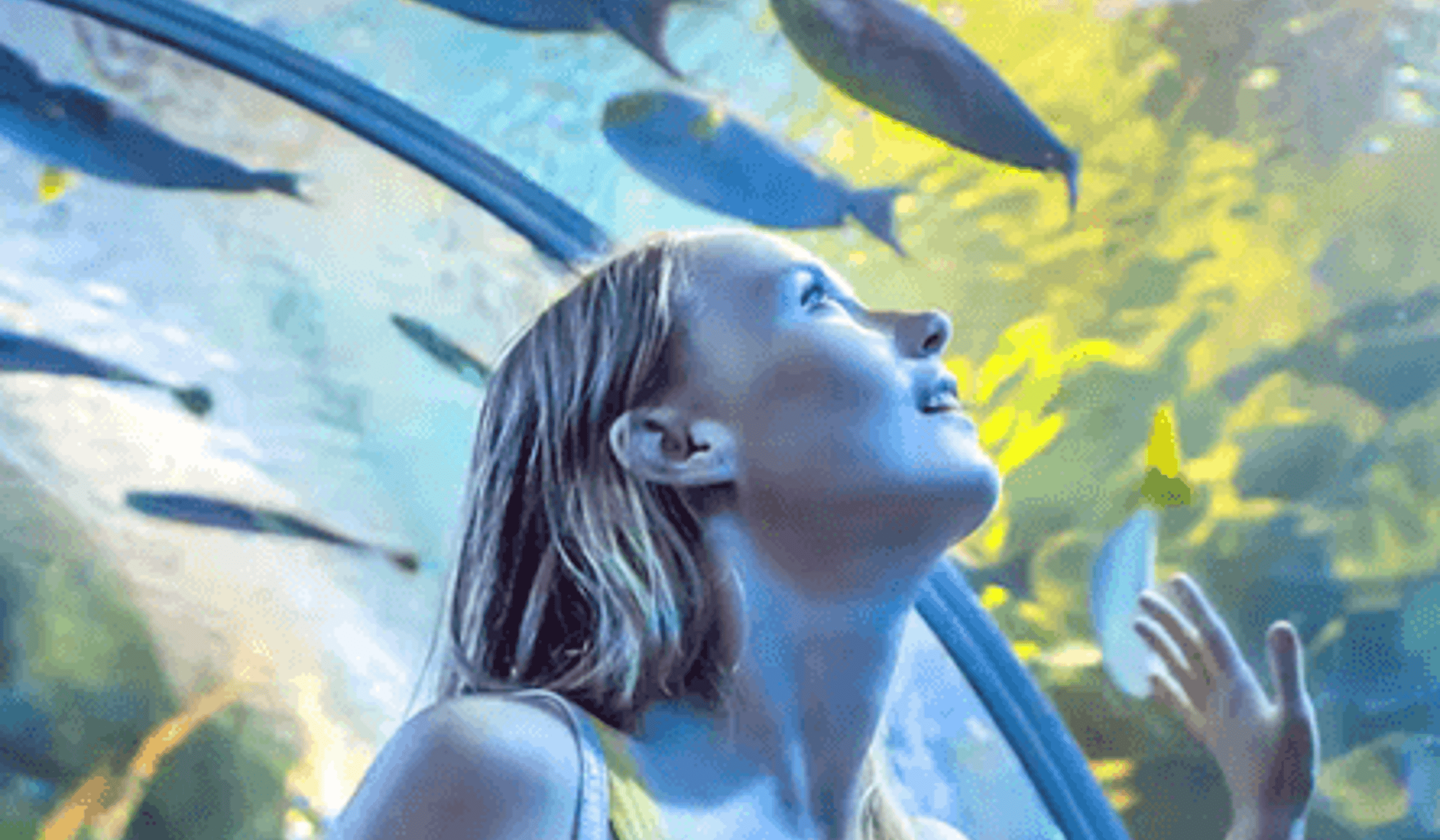 Dubai Aquarium & Underwater Zoo, Dubai
