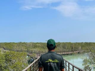 Jubail Mangrove Park: Boardwalk Experience Tour