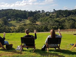Yarra Valley: Guided Premium Lunch & Wine Tasting + Transfers