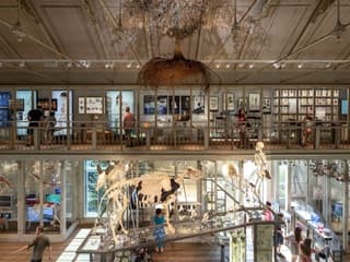 ARTIS Amsterdam Royal Zoo & Groote Museum: Skip-the-Line Entry Ticket — gallery 3