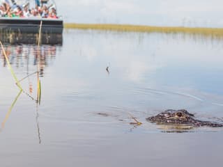 Fort Lauderdale: Florida Everglades Adventure Package