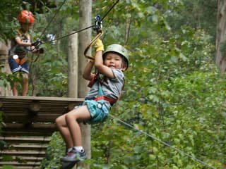 Treetops Adventure: Belgrave Park