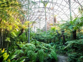 Rippon Lea Estate: Gardens Entry Ticket + Souvenir