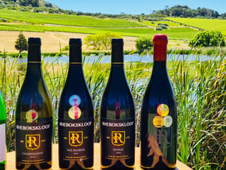 Paarl, Franschhoek, Stellenbosch Region Explorer Wine Tour — gallery 1