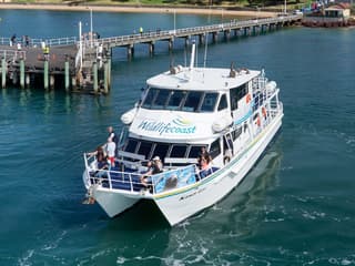 Seal Watching Afternoon Cruise at Phillip Island — gallery 2