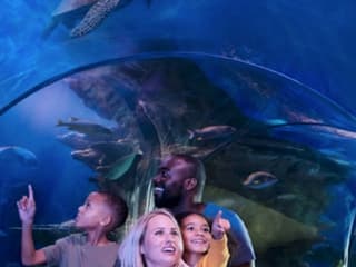SEA LIFE Orlando: Entry Ticket