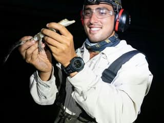 Gatorland Orlando: Gator Night Shine