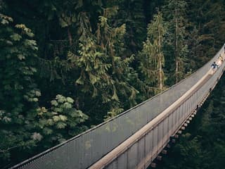 Vancouver: Scenic Twilight Tour with Capilano Park and Grouse Mountain — gallery 1