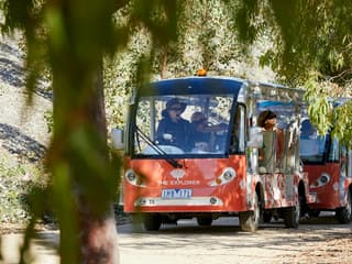 The Explorer - Cranbourne Gardens