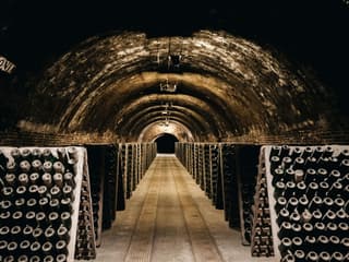 Codorníu Winery: Guided Tour + La Torre Menu Lunch + Cava Tasting