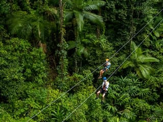 Treetops Adventure - Cape Tribulation