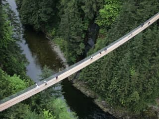 Grouse Mountain & Capilano Suspension Bridge Park: Guided Tour — gallery 2