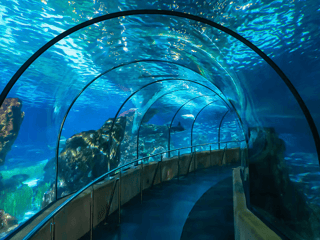 Barcelona Aquarium: Flexi-Ticket — gallery 1