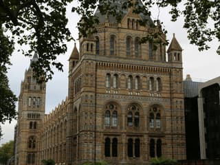 Natural History Museum London: Audio Guide App — gallery 3