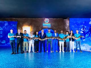 National Aquarium Abu Dhabi Tickets — gallery 2